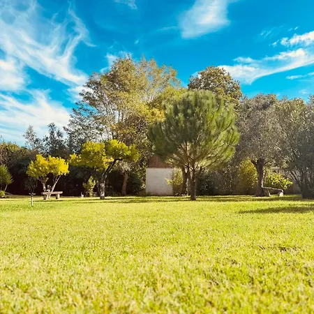 Quinta Macas By Sh * Alvaiázere