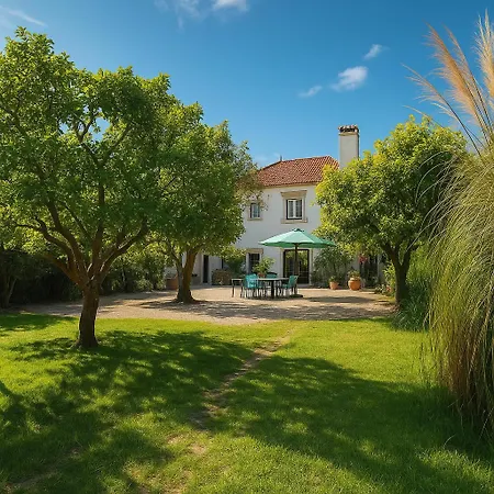 Quinta Maçãs By Sh *