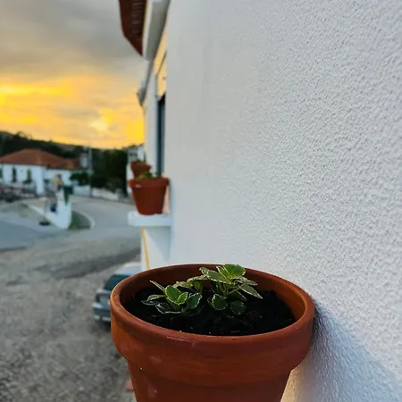 Quinta Macas By Sh * Alvaiázere
