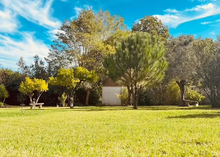 Quinta Macas By Sh * Alvaiázere