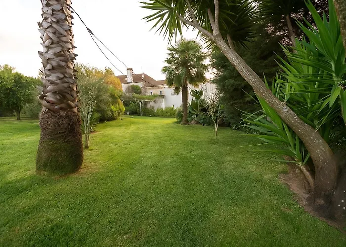 Quinta Macas By Sh *