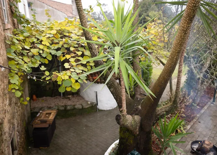 Quinta Macas By Sh Alvaiázere